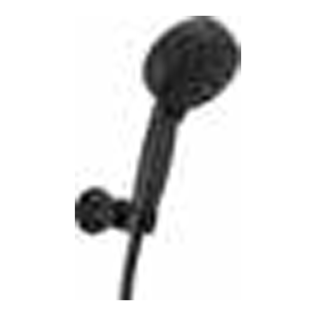 ProClean Multi-Function Shower Head-BL